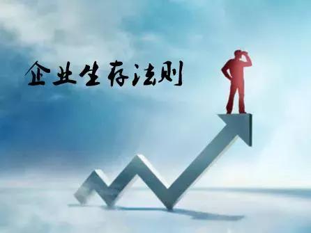 从《哪吒之魔童降世》看企业生存指南，有一个正直的领头人很重要